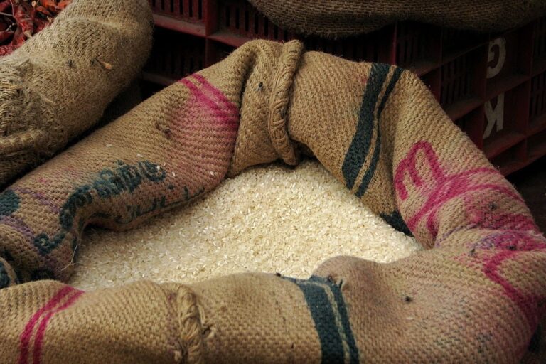 Global Food Crisis Looms as India Halts Rice Exports: A Challenge to Global Food Security