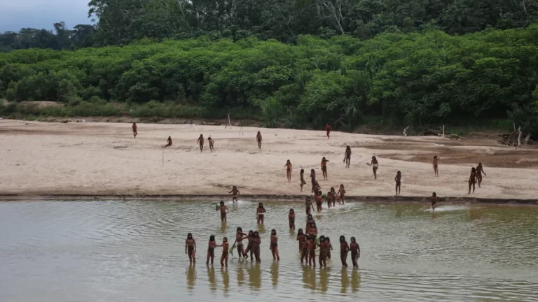 Uncontacted tribe sighted in Peruvian Amazon where loggers are active